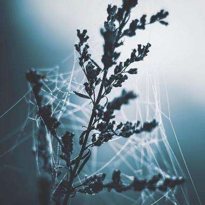 火柴人大激斗无敌版